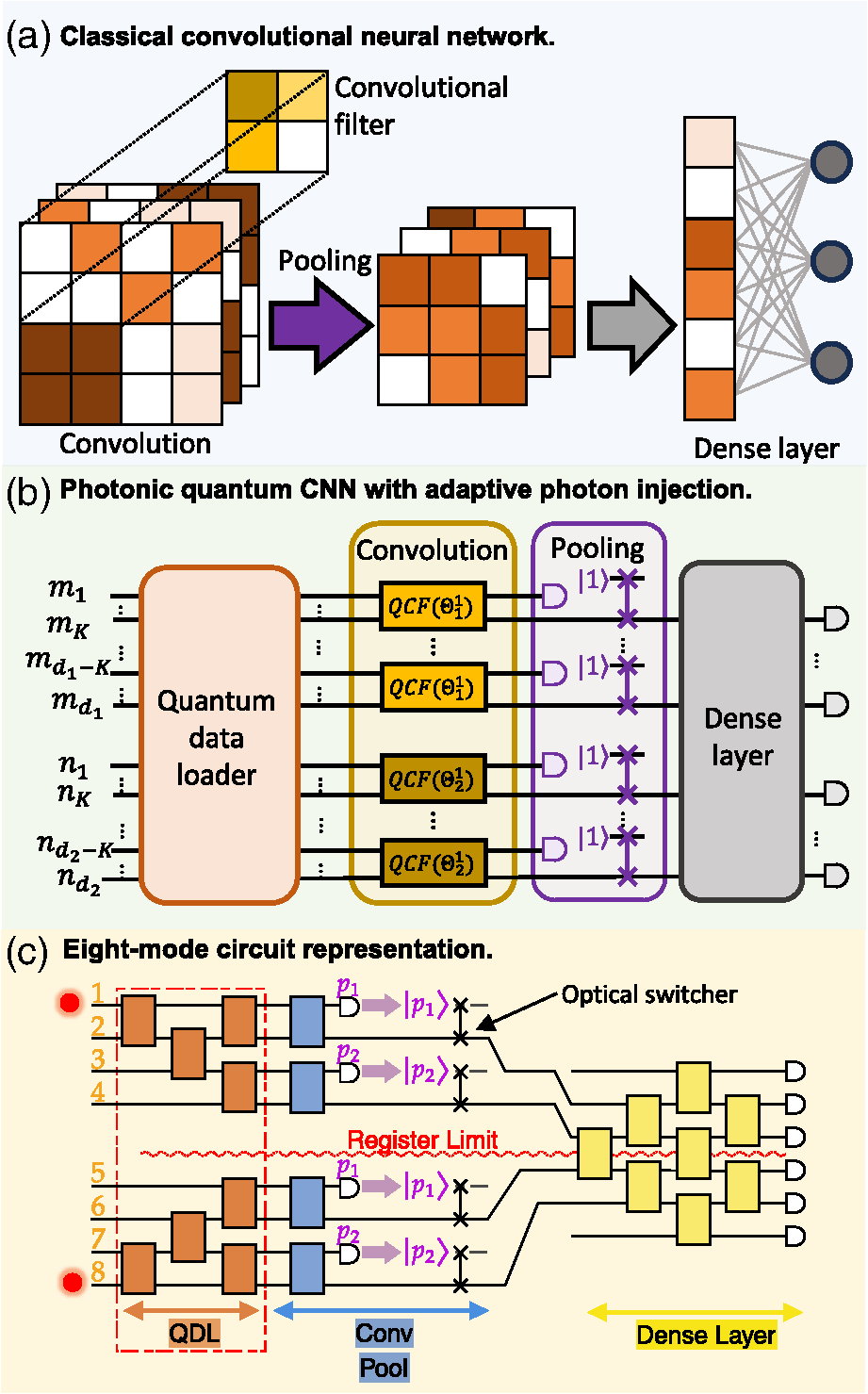 Photonic quantum convolutional neural networks with adaptive state ...